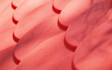 Ropley plastic roof costs