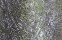 Ropley fibreglass roof work